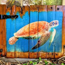 Playground Set Turtle MORE INFO